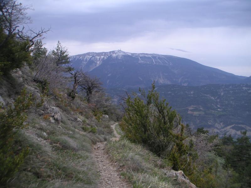 la Nible