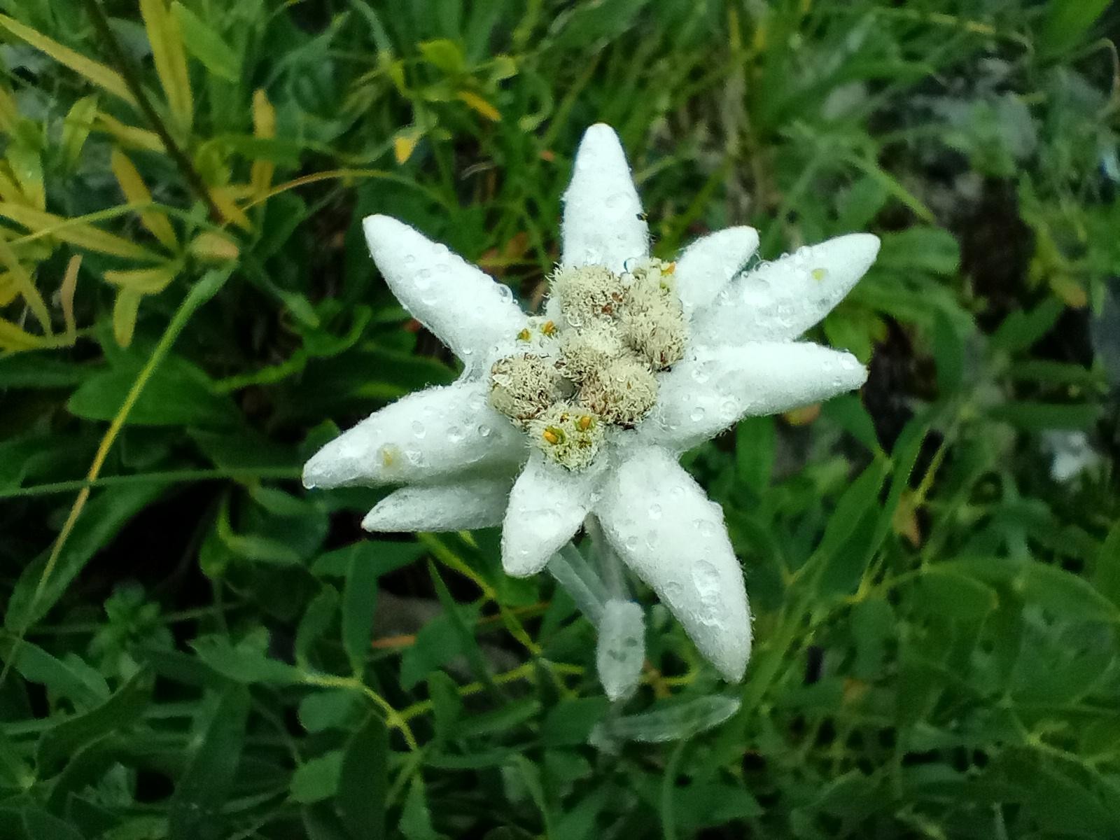 La belle surprise du jour