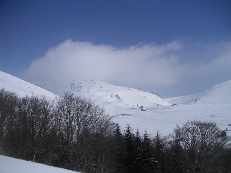 la bergerie