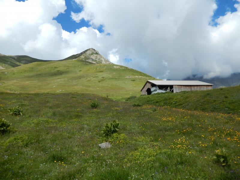 la bergerie de Moure la Gardure