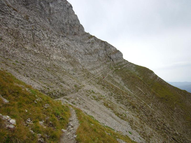 la cravate