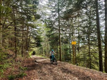 La crémaillère à VTT