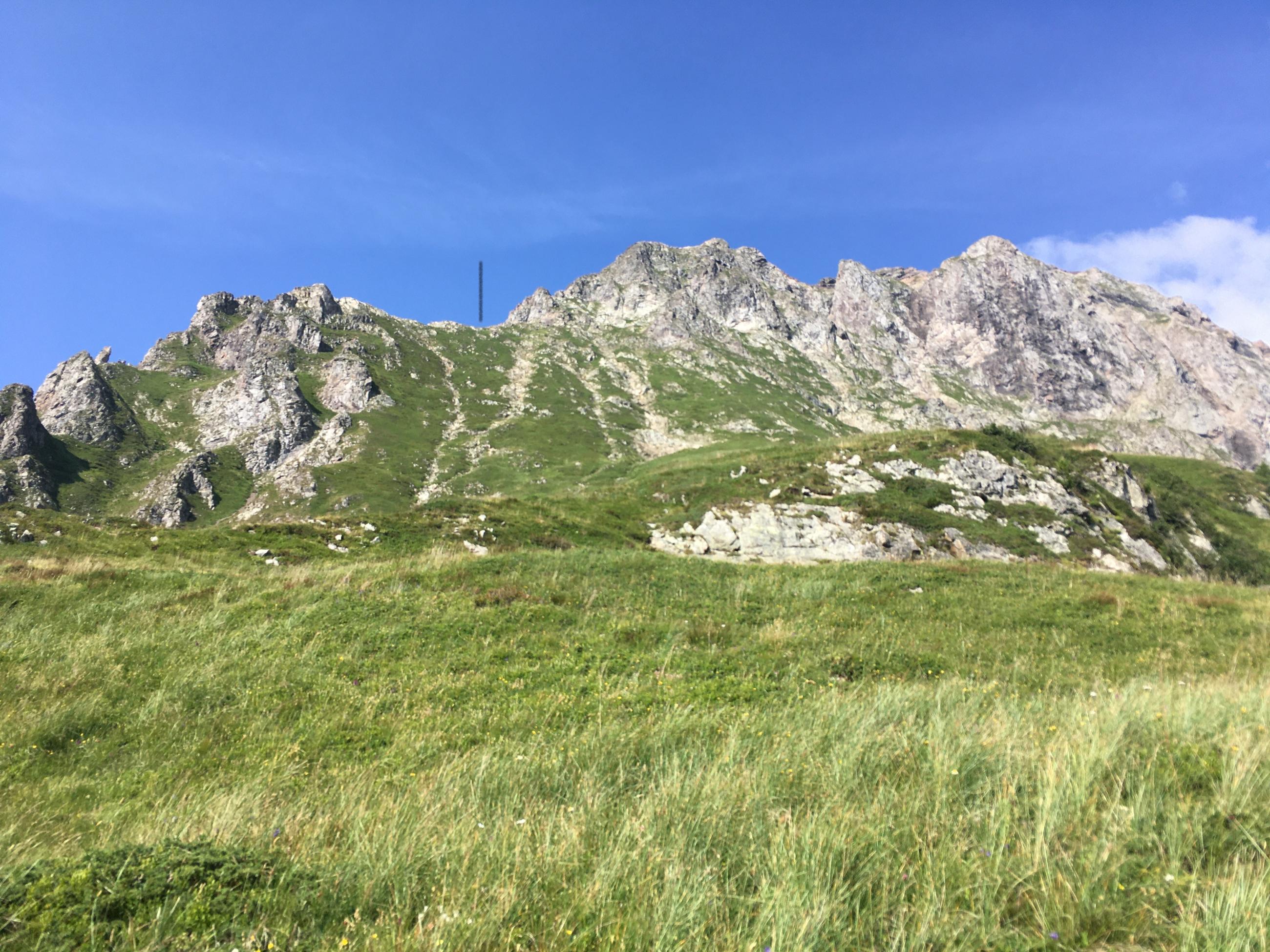 la croupe à viser au dessus de la partie herbeuse