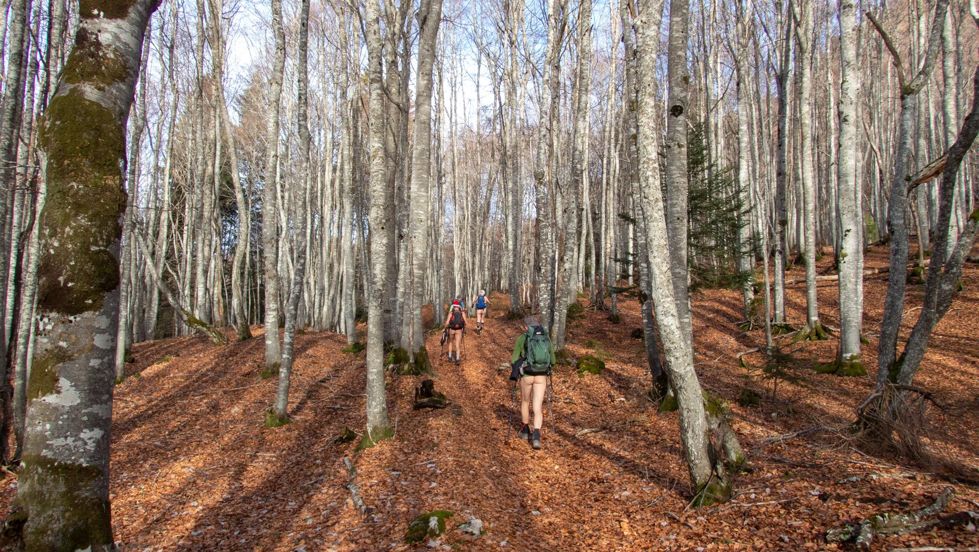 La dernière randonue de l'année 2022