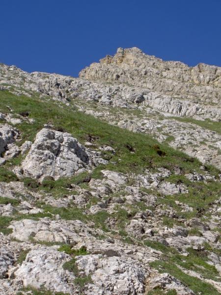 la fin de l'arête