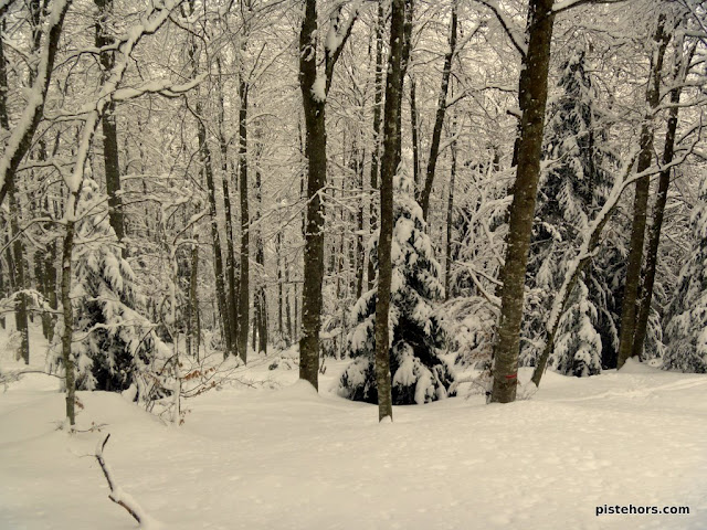la foret