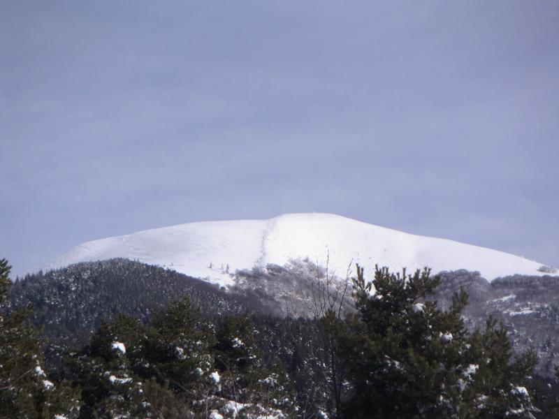 la peyrouse