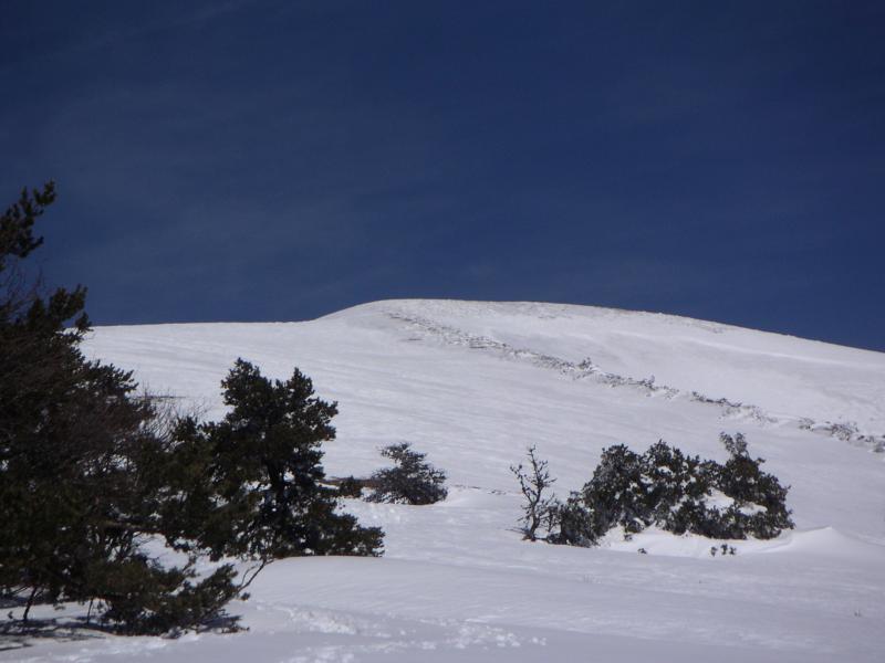 la peyrouse