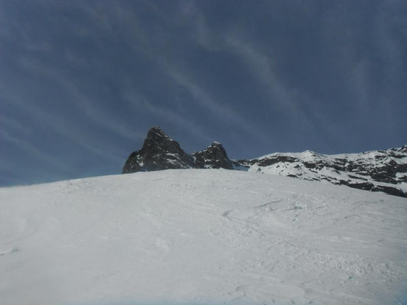 la tête de la chevrette et les cornes de Loriaz