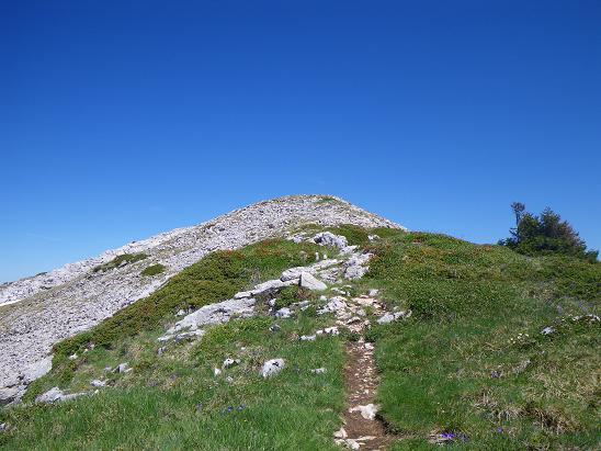 la tête des chaudières