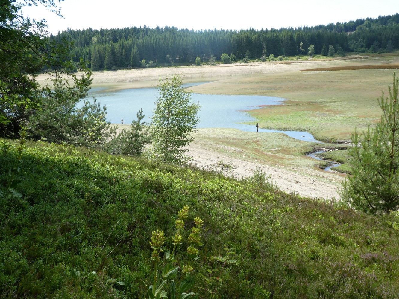 lac des Pradeaux 