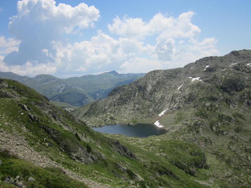 lac