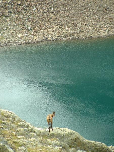 lac du Mercantour