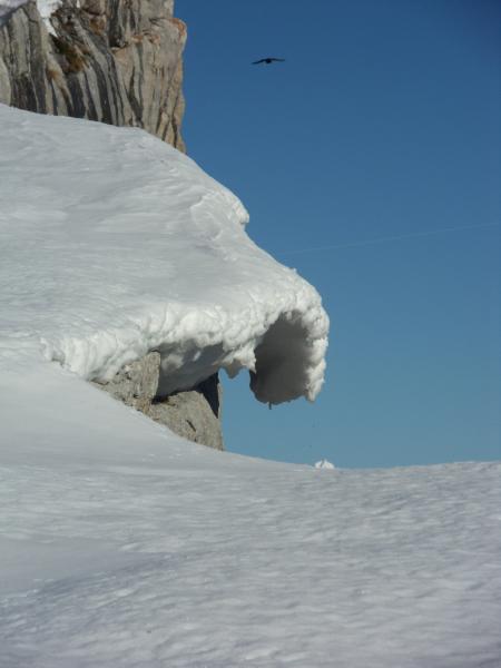 langue de neige