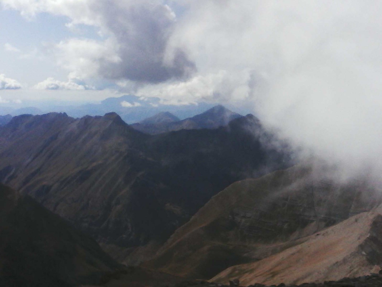 le barle et l'aiguille