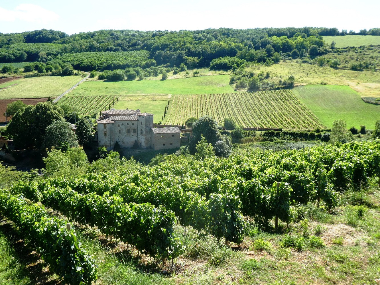 Le château de Rapetour dans ses vignes