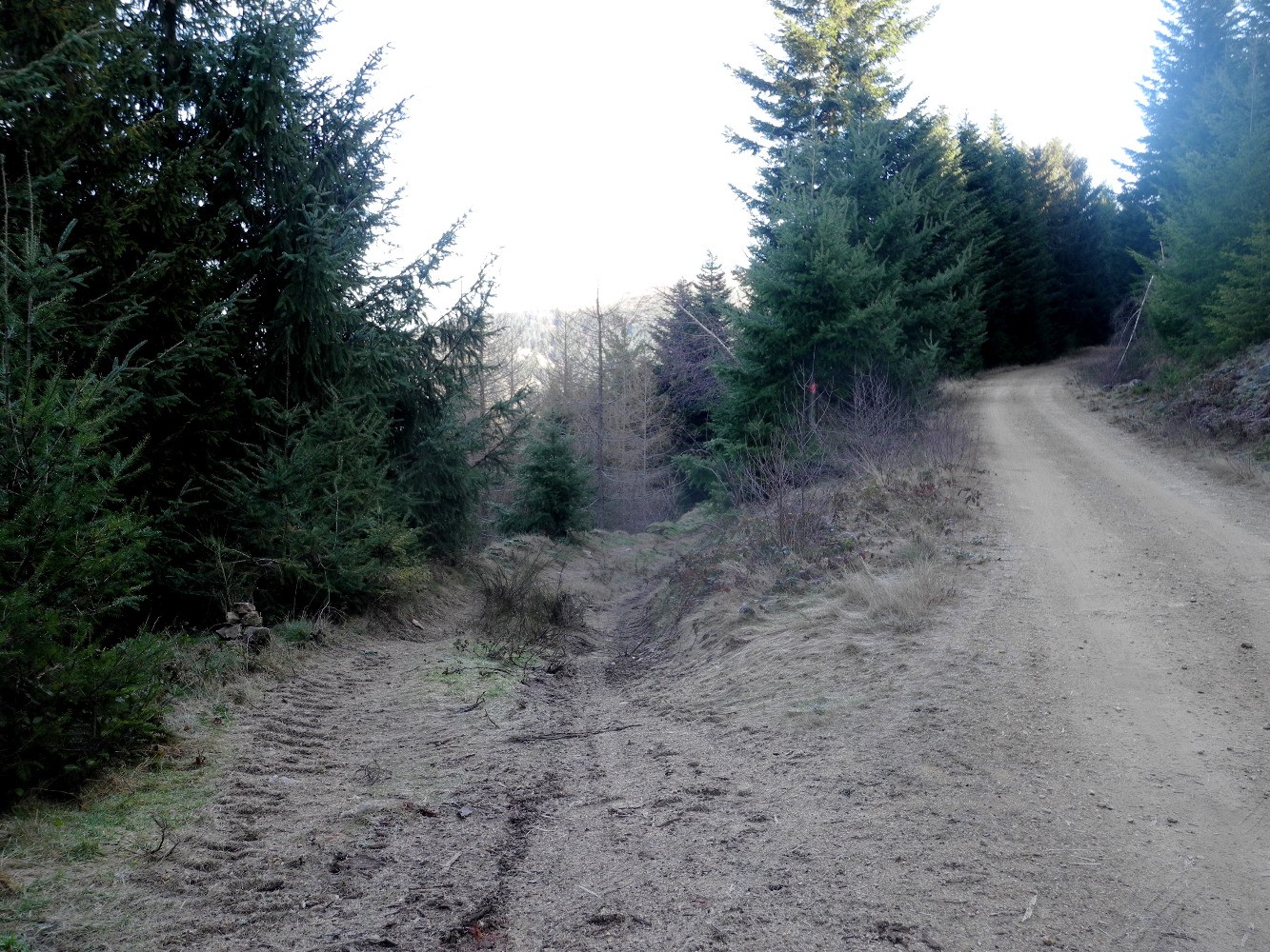 Ã  gauche, LE chemin de descente de la piste enfin trouvÃ© !