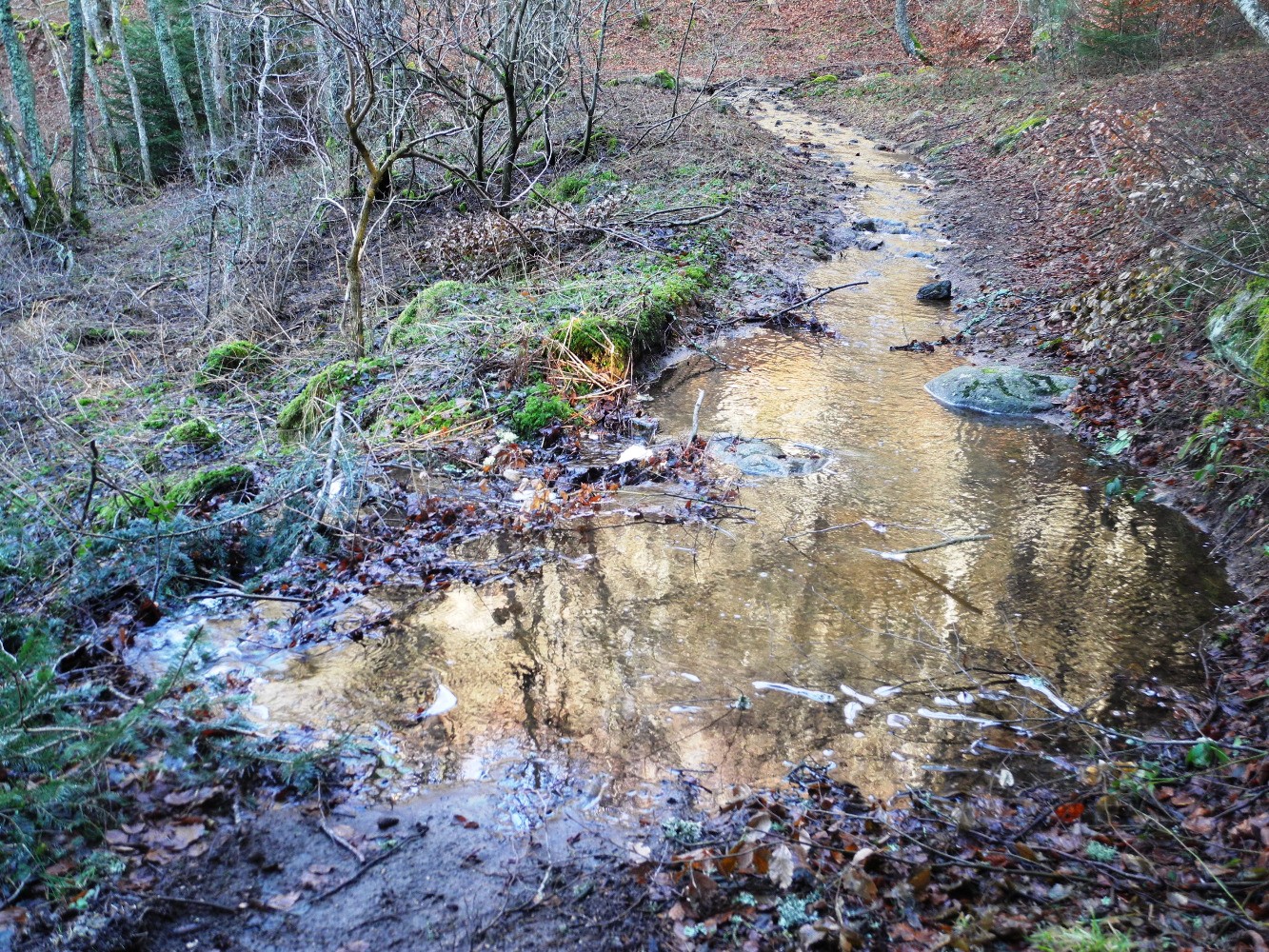le chemin-ruisseau