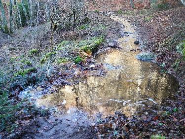 le chemin-ruisseau