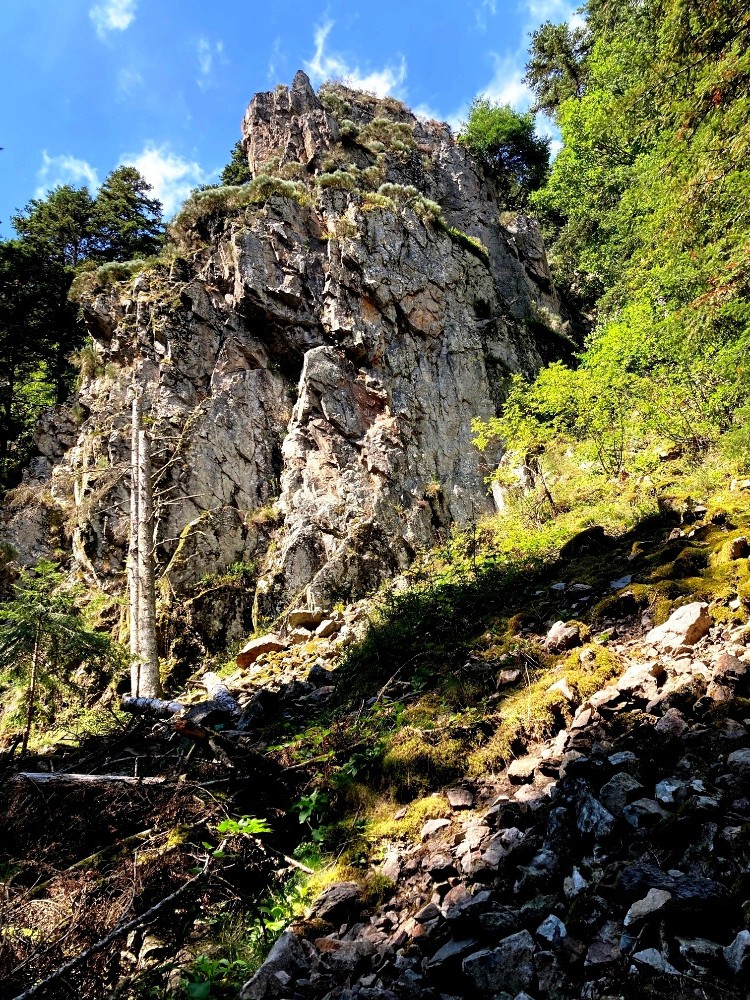 Le couloir de sortie, c'est par lÃ 