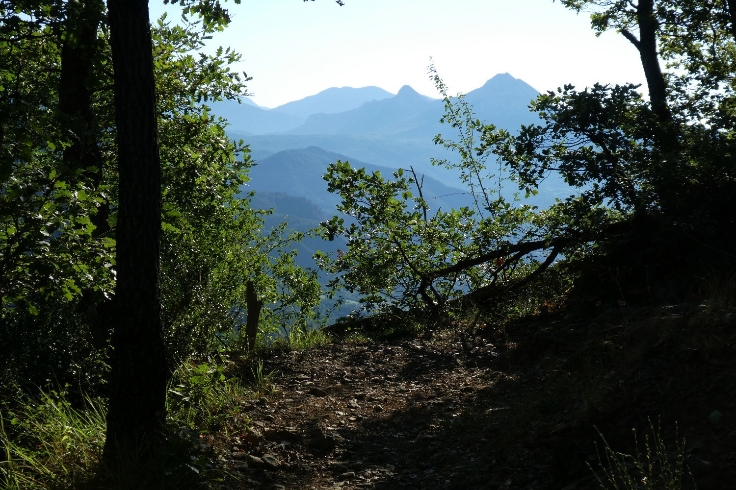 le Cucuyon et le Couard