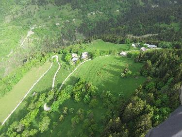 Le dÃ©co du PrÃ© et le troupeau de gÃ©nisses