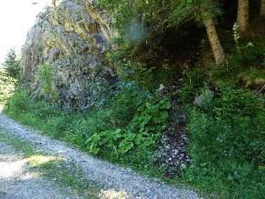 le dÃ©part du sentier de montÃ©e