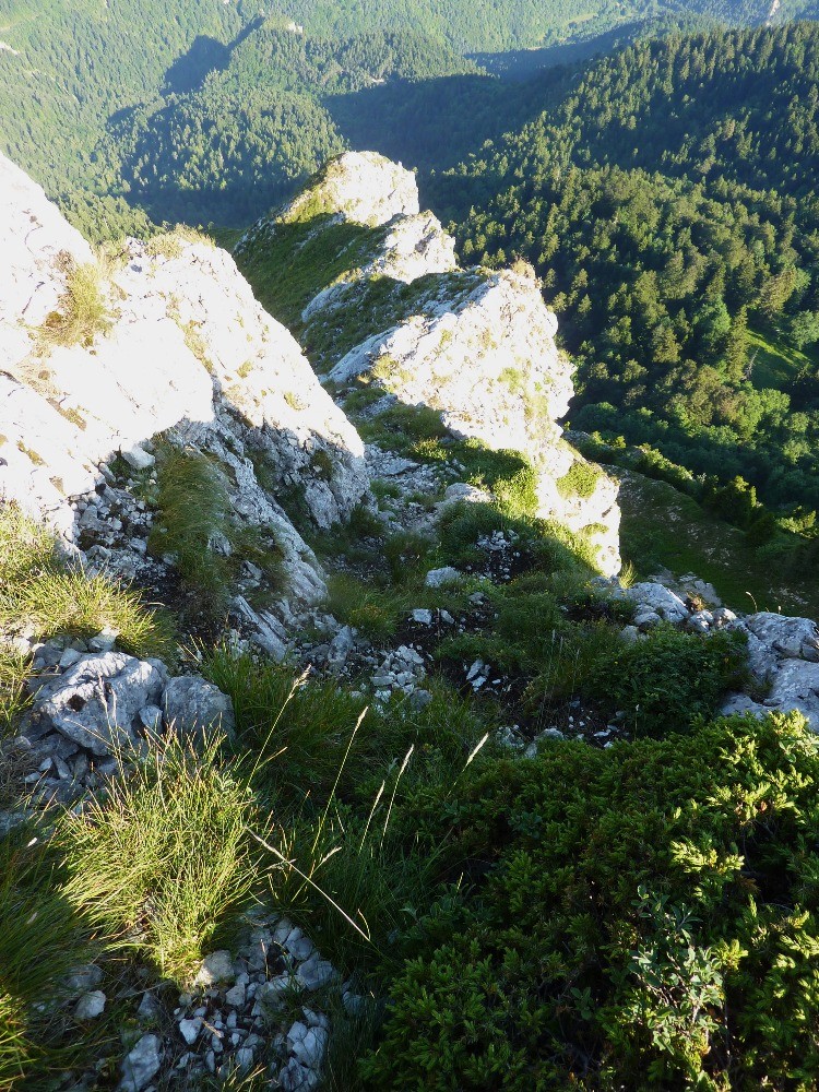 Le diÃ¨dre vu du haut