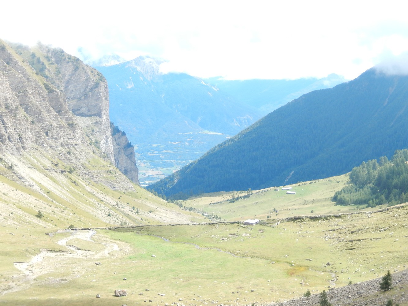 Le Distroit
