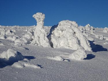 le dromadaire de Pierre-sur-Haute (photo de Jean-Yves)