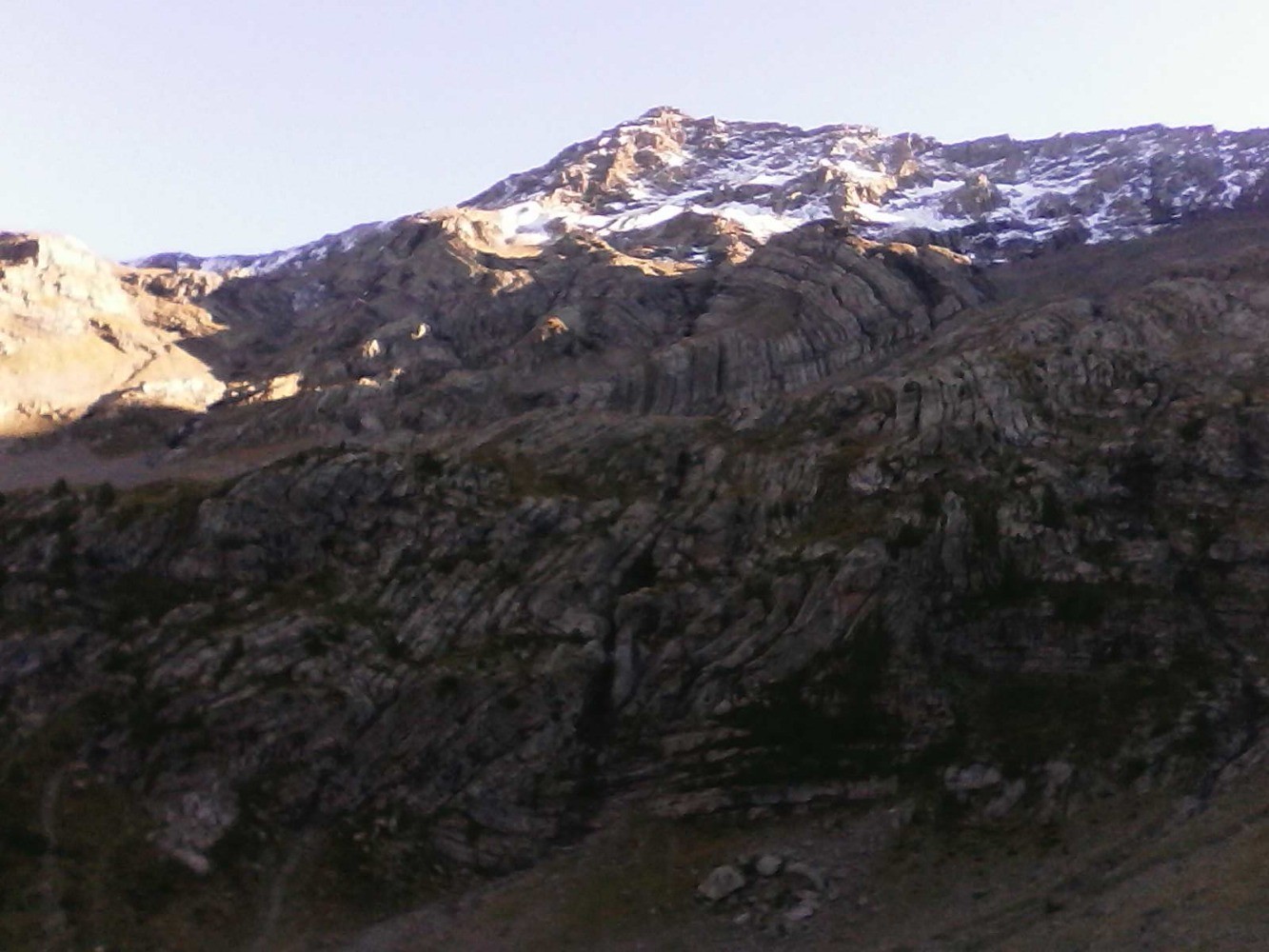 le gd pinier  , vu de +bas