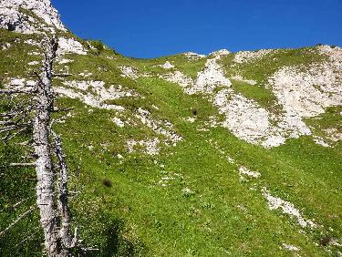 Le Goulot resserrÃ©