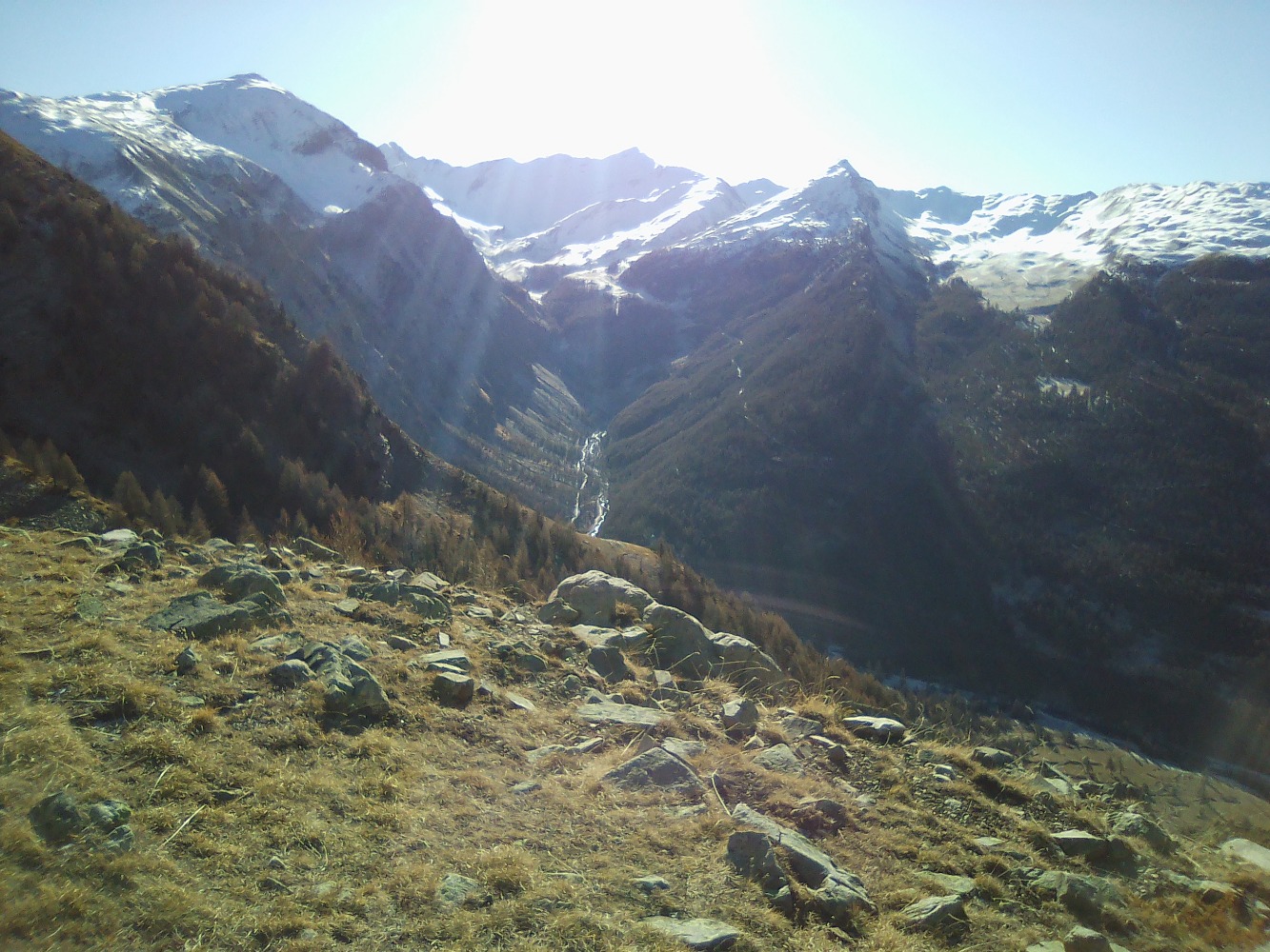 le grand parpaillon au centre gaughe