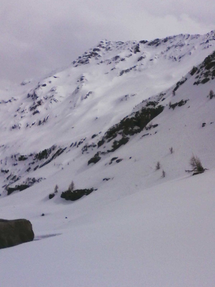 le grand pinier , Ã  la descente