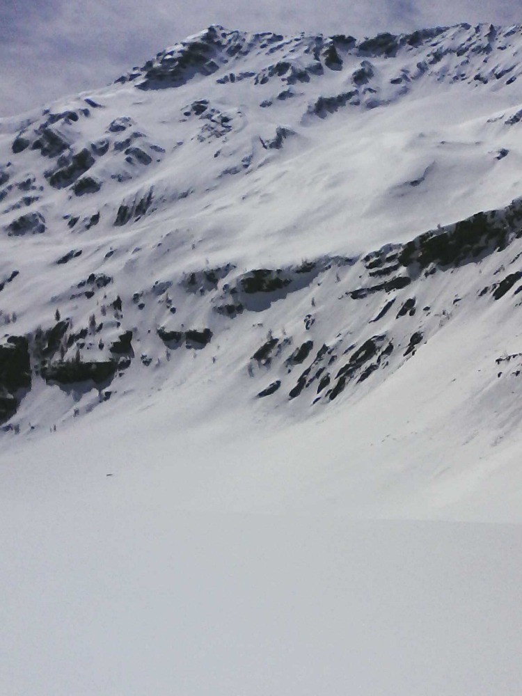 le grand pinier depuis chichin