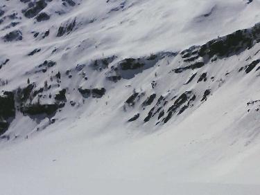 le grand pinier depuis chichin