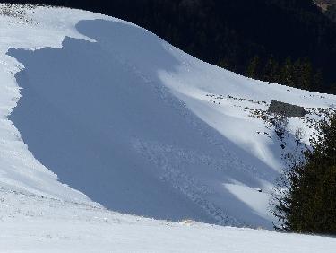 Le Habert de la Dame