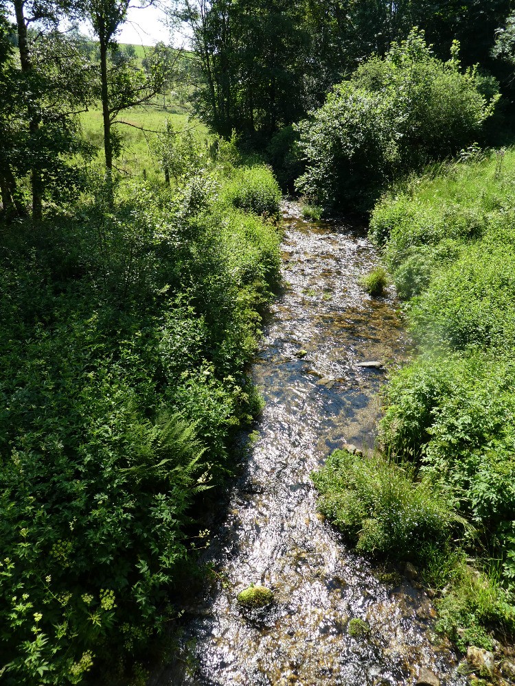 Le Lignon depuis le pont