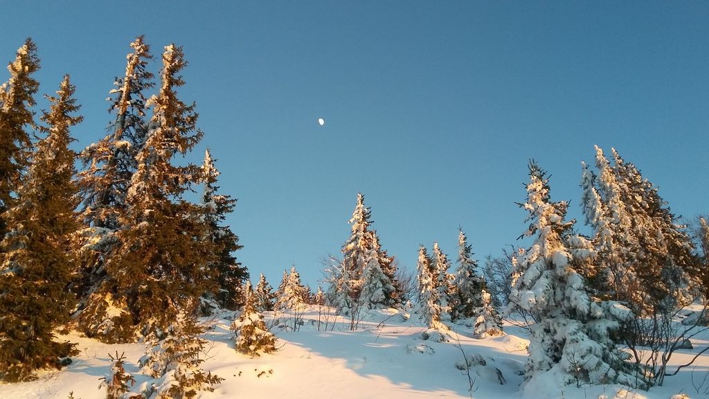 Le Mouicherotte en raquettes