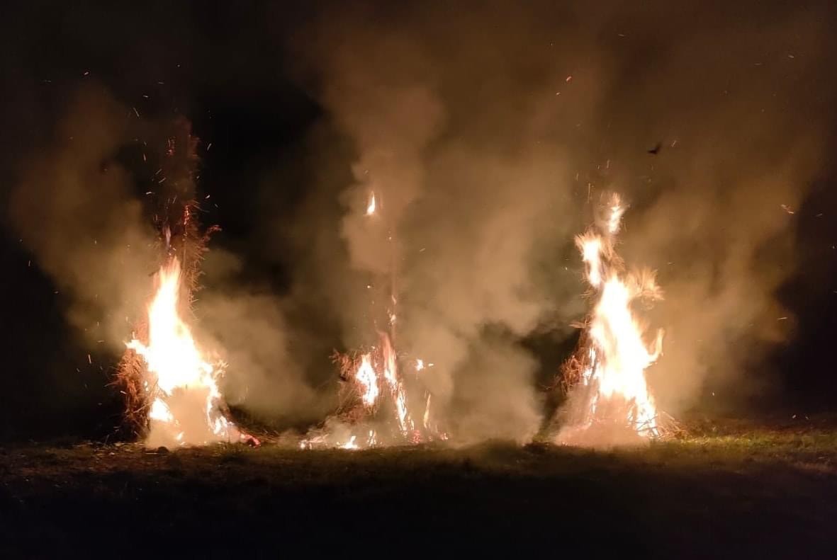 Le mystÃ¨re des genÃ©vriers thurifÃ©res