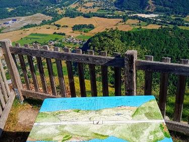 Le mystère des genévriers thurifères