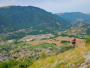 Le mystère des genévriers thurifères