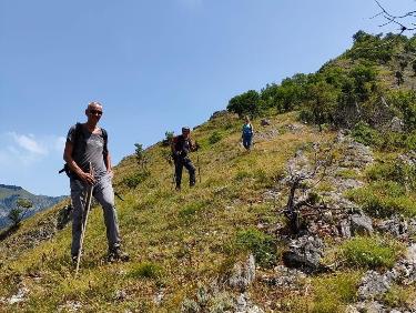 Le mystère des genévriers thurifères