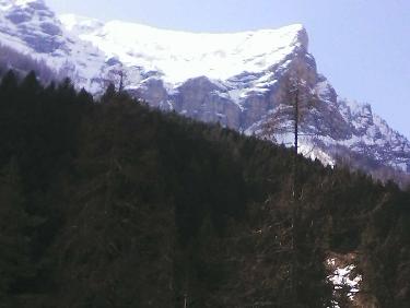Le Pelve  depuis la montÃ©e sur le versant G du torrent du Rabioux