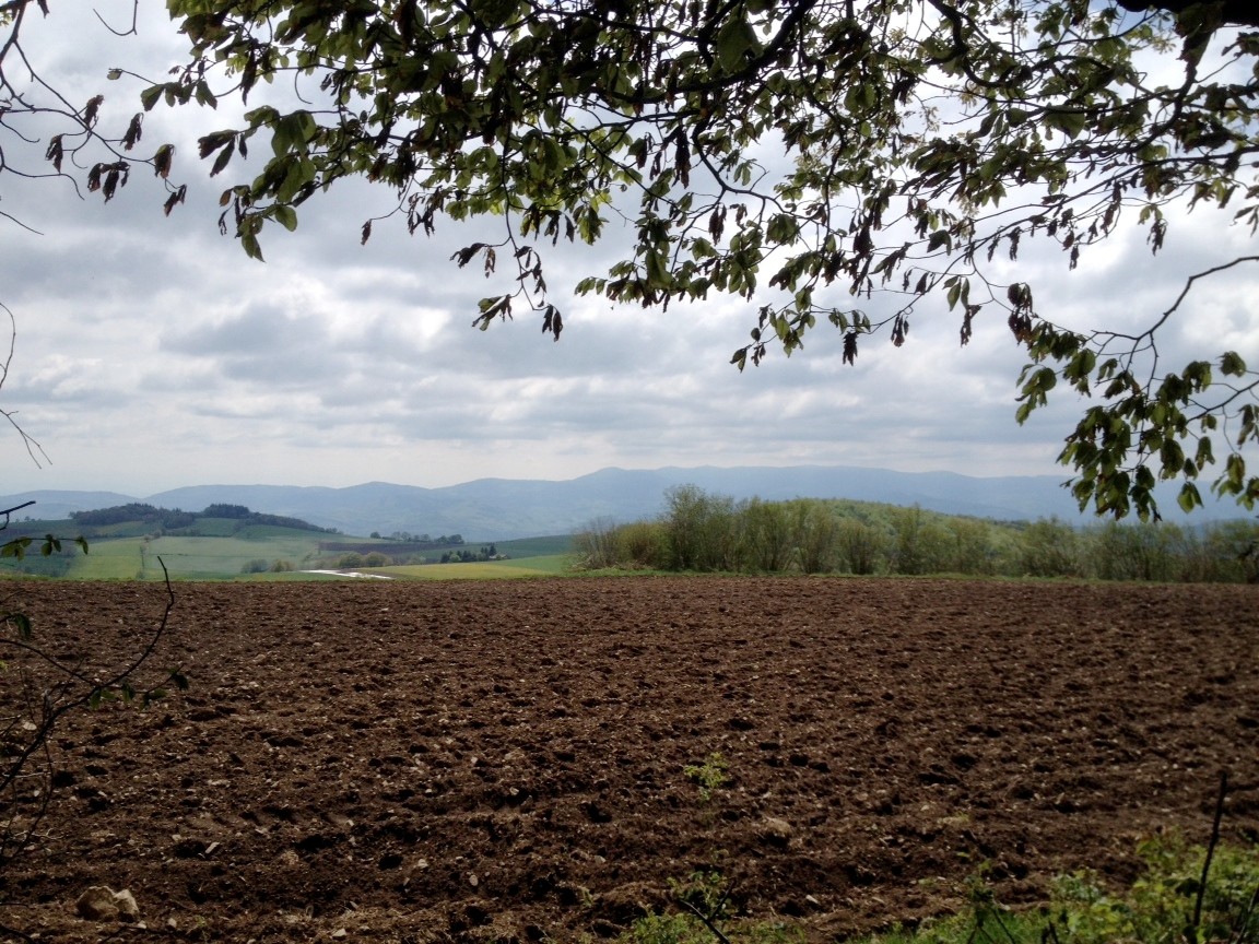 Le Pilat depuis le CrÃªt Malherbe