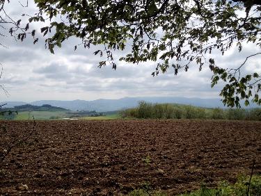 Le Pilat depuis le CrÃªt Malherbe