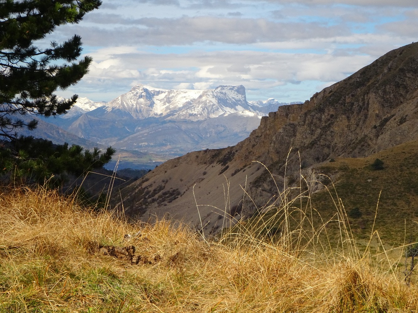 Le plateau de Bure vu de la pointe d'Eyrolle