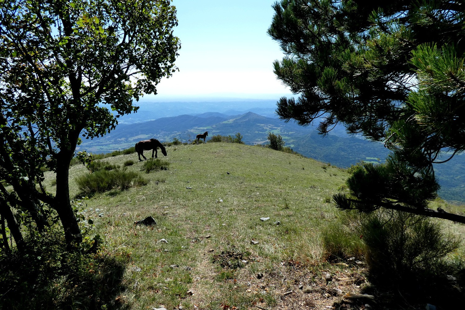 Le PR vire Ã  gauche, la suite (Ã©paule, 1580m) est droit devant