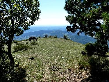 Le PR vire Ã  gauche, la suite (Ã©paule, 1580m) est droit devant