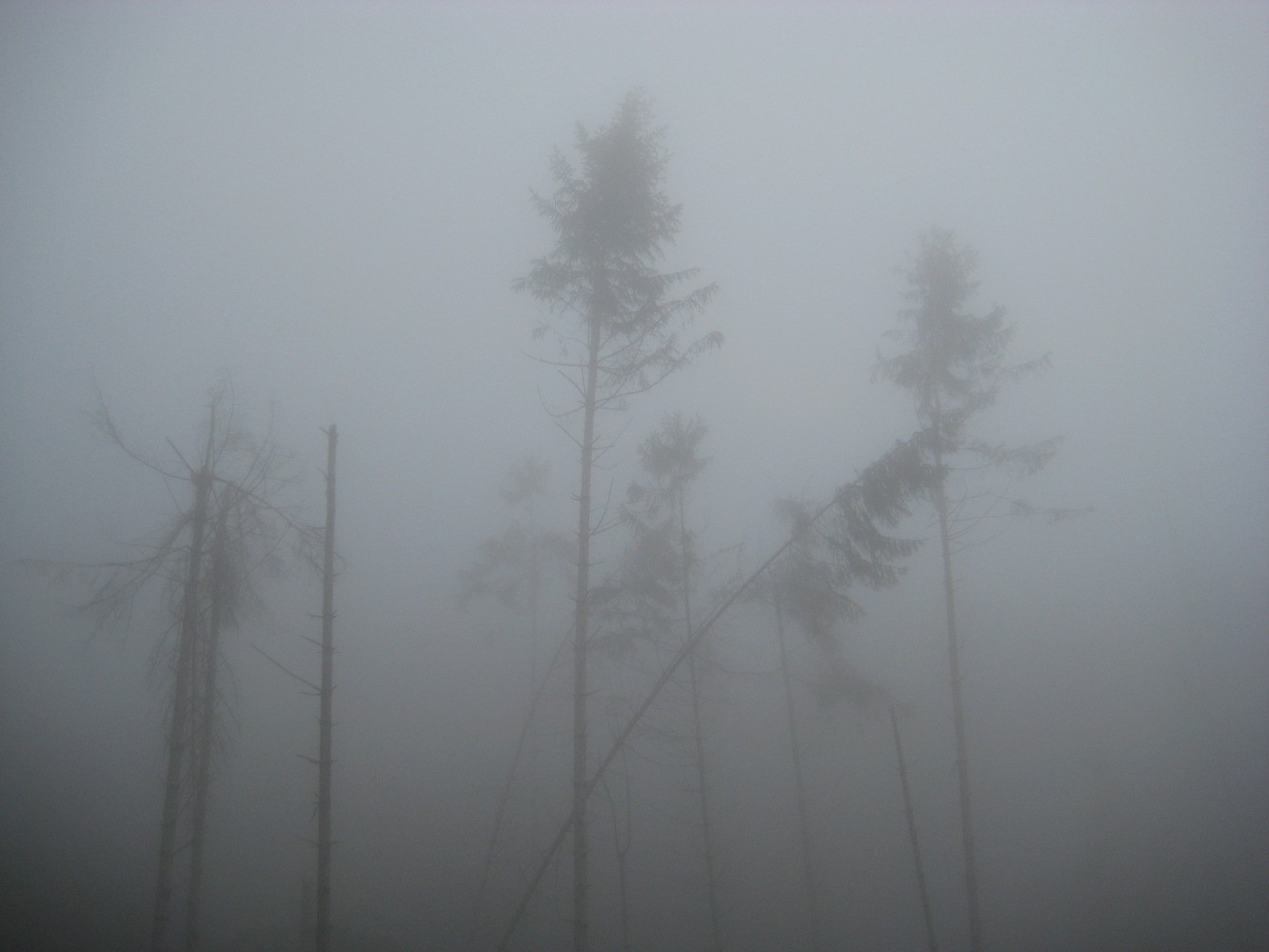 Le rebord du monde...